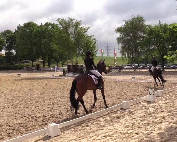 Reitturnier Kierspe-Hohenholten 2017