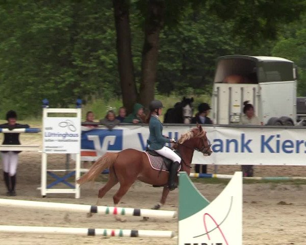 Reitturnier Kierspe-Hohenholten 2017