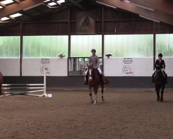 Reitturnier Kierspe-Hohenholten 2017