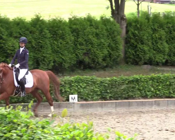 Reitturnier Kierspe-Hohenholten 2017