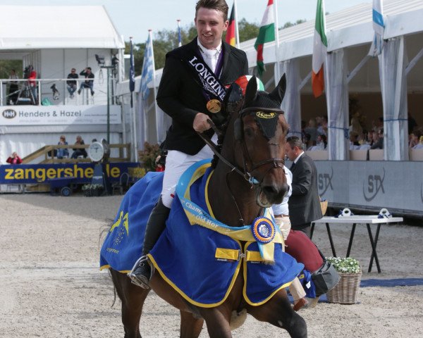 Springpferd Uppercourt Cappucino (Irish Sport Horse, 2013, von Eldiam de Reve)