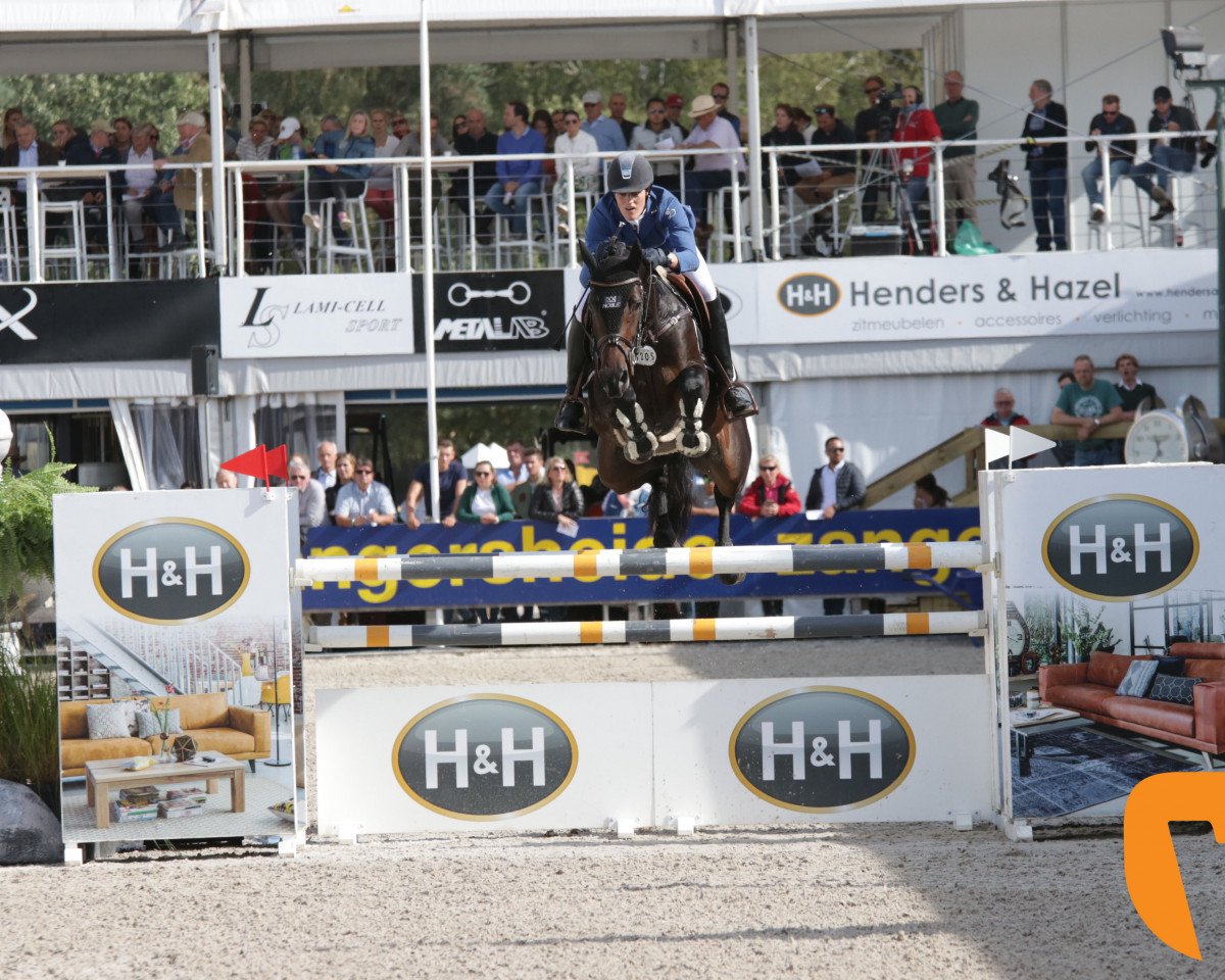 jumper H-red Beauty Girl P und A (Belgium Sporthorse, 2013, from Red Star M)