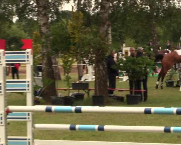 Reitturnier Hille 2017