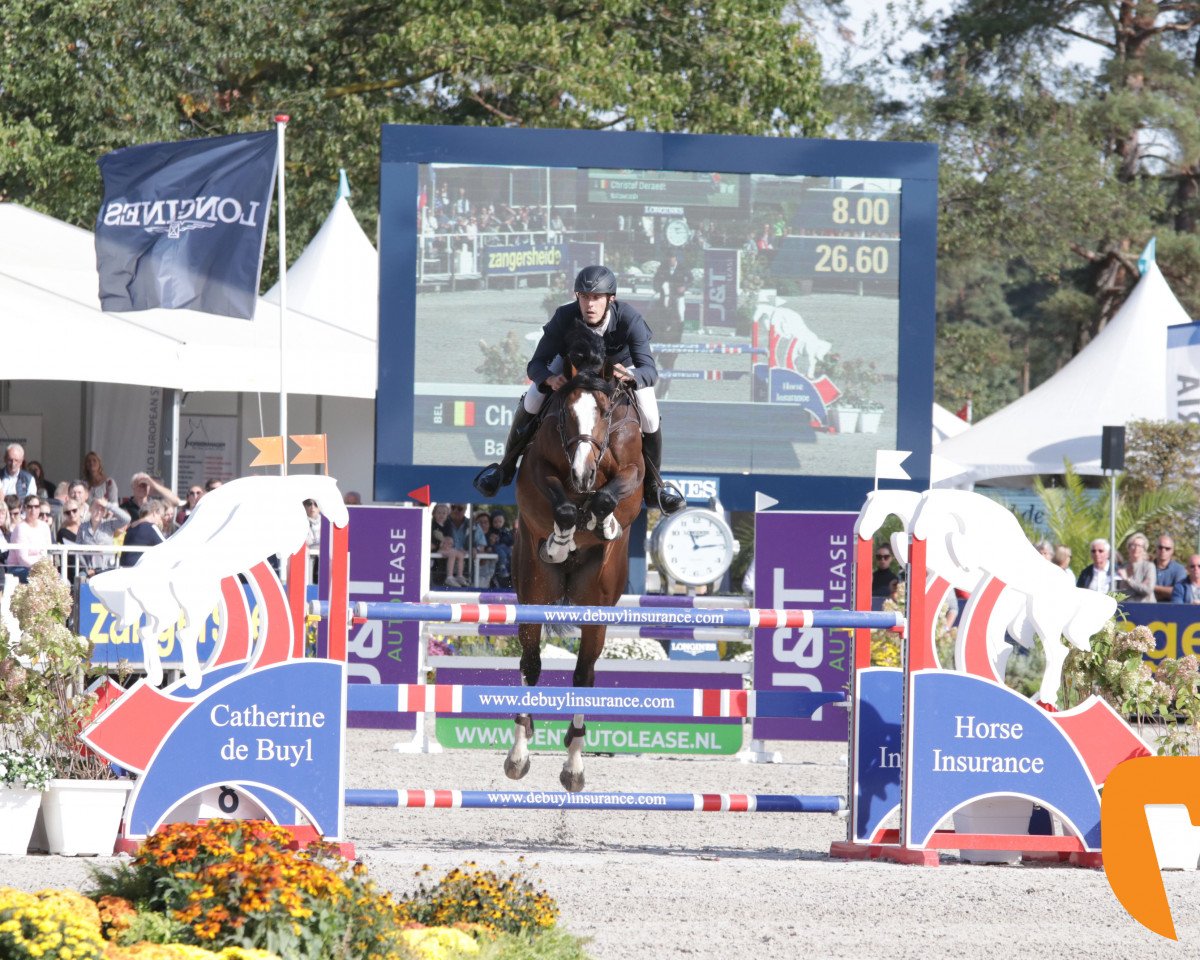 stallion Baloucash (Hanoverian, 2013, from Balou du Rouet)