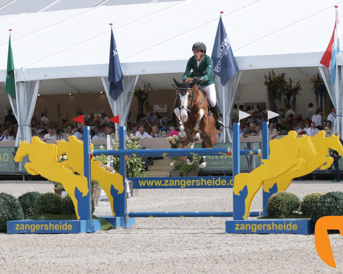 stallion Oak Grove's Che (Oldenburg, 2012, from Christian 25)