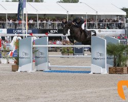 jumper Mr Jones (Belgian Warmblood, 2012, from I'm Special de Muze)