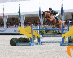 Springpferd Miss Belgium 111 (Belgisches Warmblut, 2012, von Der Senaat 111)