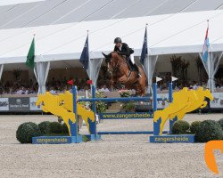 jumper S & L Marlon vd Heffinck (Belgian Warmblood, 2012, from Desir Du Chateau)