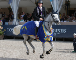 jumper Chilli (German Sport Horse, 2012, from Colestus)