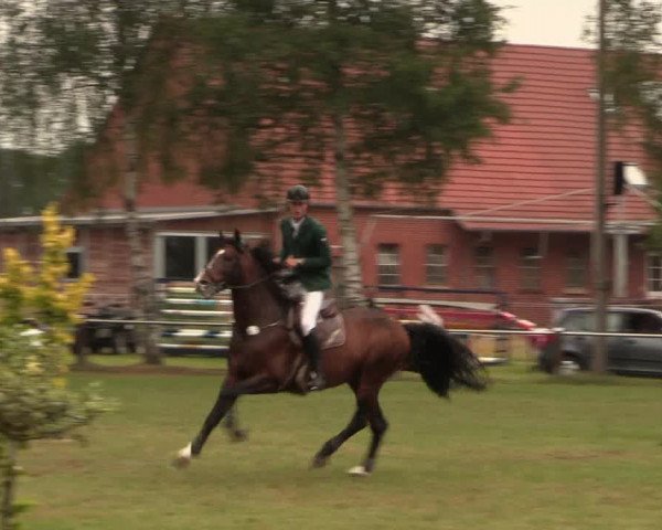Reitturnier Hille 2017