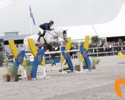 Springpferd Keros van het Lindenhof (Belgisches Warmblut, 2010, von Cachas)