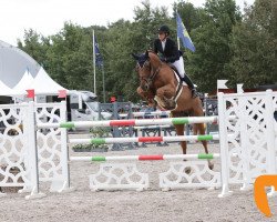 stallion Zazu (Belgian Warmblood, 2008, from Kashmir van't Schuttershof)