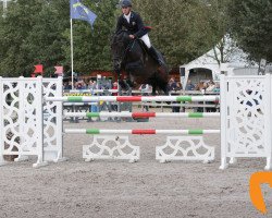 stallion Farmer (Polish Warmblood, 2008, from Rovetto)