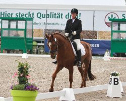 dressage horse Fürst Brentano 3 (Westphalian, 2014, from Fürst Fohlenhof)