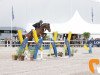 stallion Caspar (KWPN (Royal Dutch Sporthorse), 2007, from Verdi)