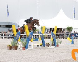 Deckhengst Caspar (KWPN (Niederländisches Warmblut), 2007, von Verdi)