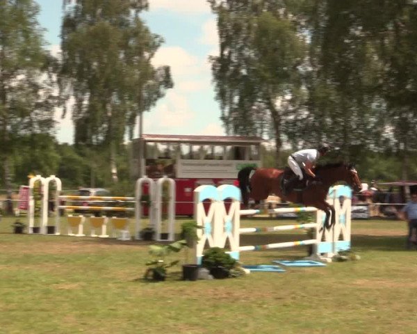 Reitturnier Hille 2017