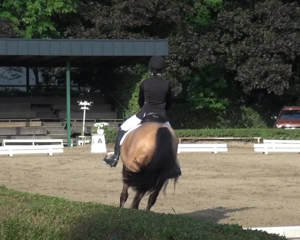 Reitturnier Krefeld - Reitanlage Kühnen 2017