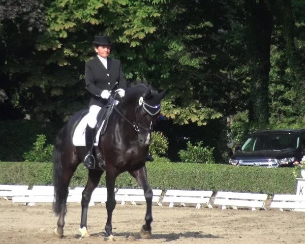 Reitturnier Krefeld - Reitanlage Kühnen 2017
