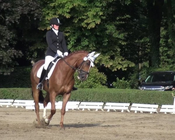 Reitturnier Krefeld - Reitanlage Kühnen 2017