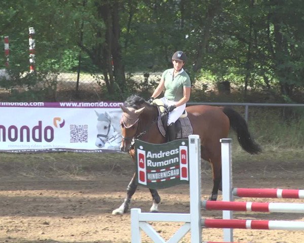 Reitturnier Wiesloch 2017