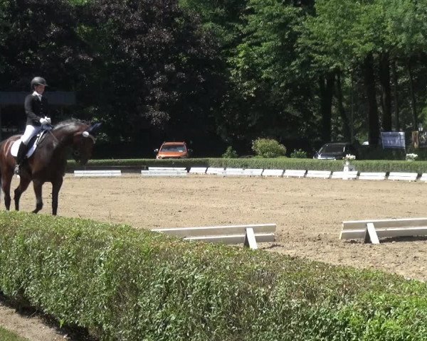 Reitturnier Krefeld - Reitanlage Kühnen 2017