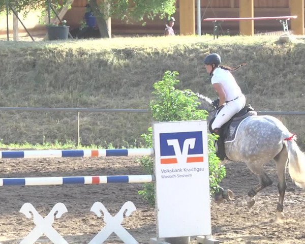 Reitturnier Wiesloch 2017