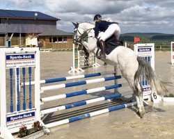 jumper Chapter d'Amour S (Oldenburg show jumper, 2015, from Chap II)