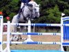 jumper Legolas 142 (German Sport Horse, 2004, from Levisto Z)