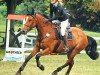 broodmare Goline 3 (KWPN (Royal Dutch Sporthorse), 2011, from Pacific)