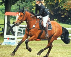 broodmare Goline 3 (KWPN (Royal Dutch Sporthorse), 2011, from Pacific)