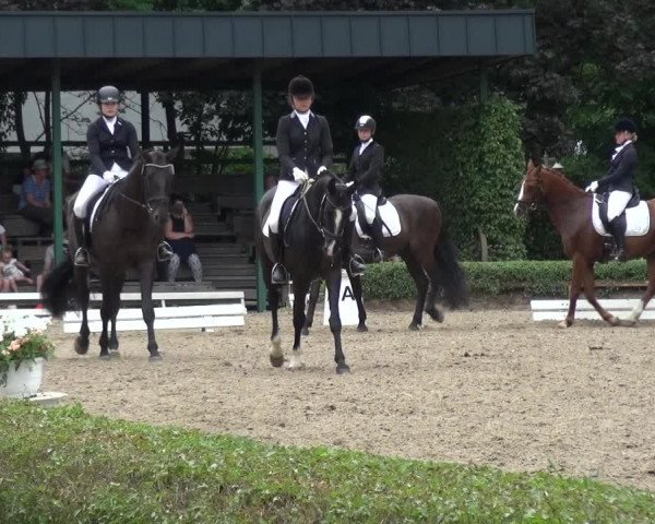 Reitturnier Krefeld - Reitanlage Kühnen 2017