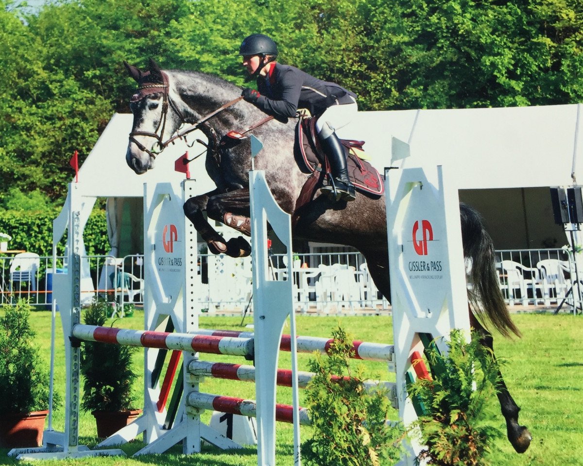 broodmare Camira 95 (Holsteiner, 2013, from Con Cosmos)