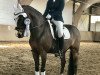 dressage horse Nymbli (German Riding Pony, 2003)