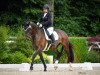 dressage horse Sgs Santiago CH (Swiss Warmblood, 2013, from Sean Connery)