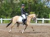 dressage horse Champions Princess (German Riding Pony, 2014, from Dornik B)