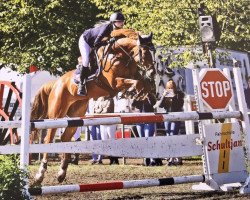 jumper Estrella 96 (Hanoverian, 2012, from Earl)