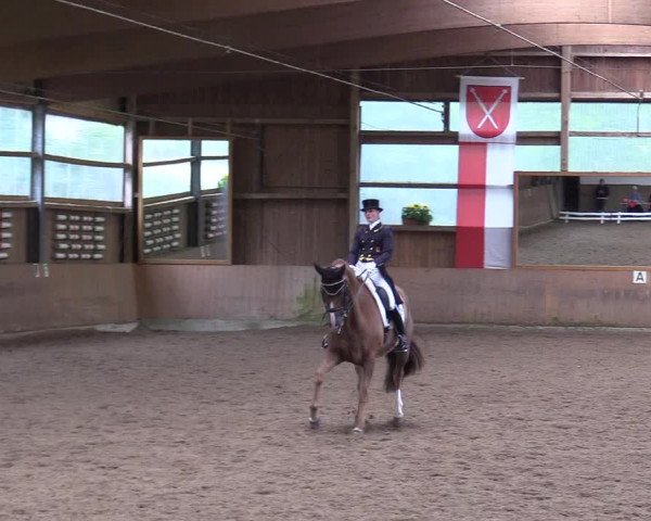 Reitturnier Schwerte-Gut Kückshausen 2017