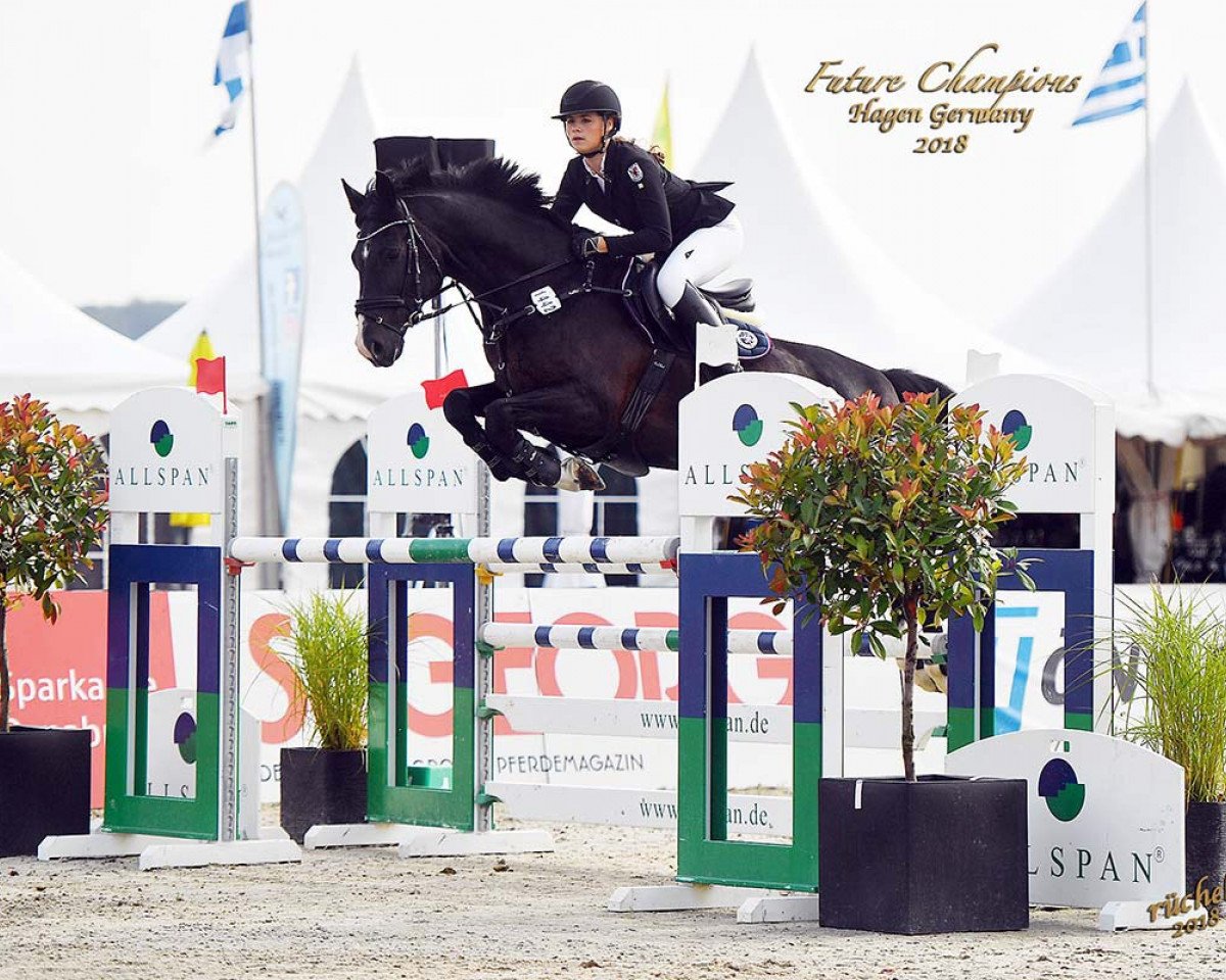 jumper Alvaro 119 (German Sport Horse, 2007, from Asklepios)