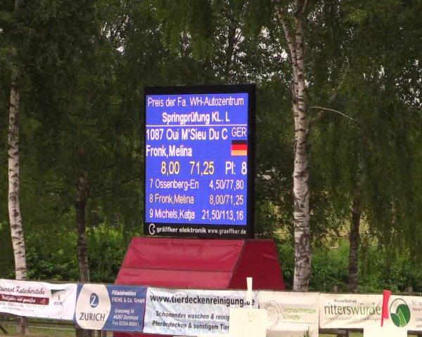 Reitturnier Schwerte-Gut Kückshausen 2017