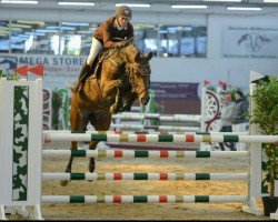 jumper Fiona of Chin (Holsteiner, 2013, from Chin Champ)