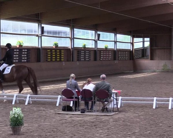 Reitturnier Schwerte-Gut Kückshausen 2017