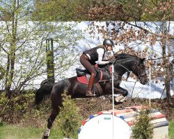 jumper Inka Linn (German Riding Pony, 2010, from Gasparo N)