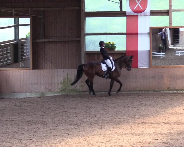 Reitturnier Schwerte-Gut Kückshausen 2017