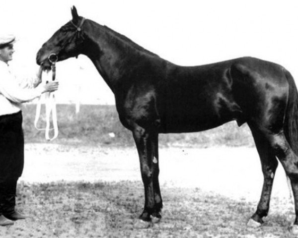 stallion Talantlivyj (SU) (Russian Trotter, 1932, from Dodyrj)