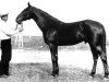 stallion Talantlivyj (SU) (Russian Trotter, 1932, from Dodyrj)