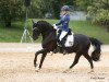 dressage horse Nobel Noir (German Riding Pony, 2008, from No Limit)