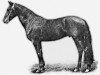 stallion Antonij (Russian Trotter, 1911, from Aljvin-Molodoj (RU))