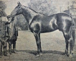 stallion Guchnomovets (RU) (Russian Trotter, 1930, from Giljdeets (RU))