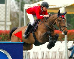 broodmare Alternativa (Bulgarian Warmblood, 2002, from Ajstanzer)